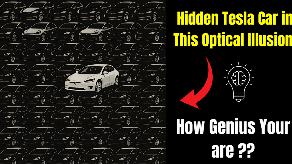 Optical Illusion Challenge
